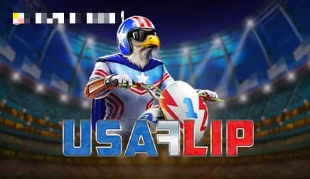 USA Flip